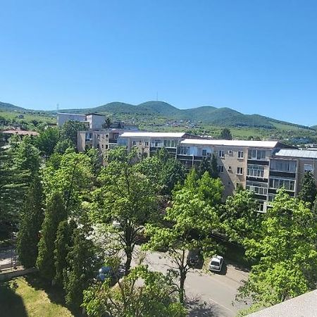 Apartament In Regim Hotelier 데바 외부 사진
