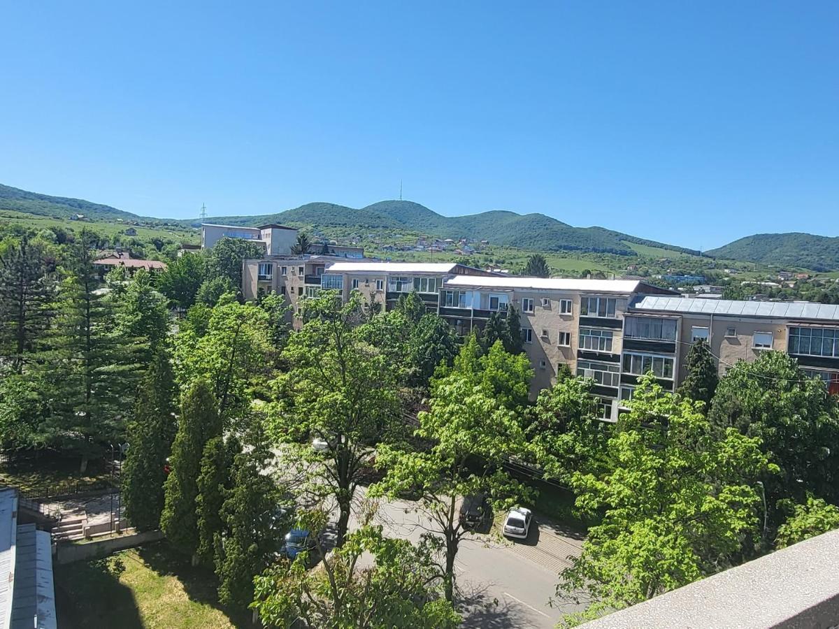Apartament In Regim Hotelier 데바 외부 사진